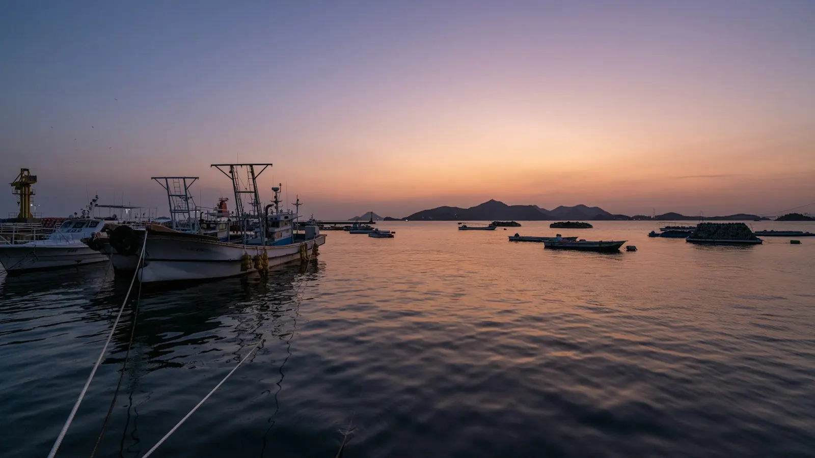 Fishing boats moored in a calm harbor at first light, with low hills on the horizon and the sky turning from violet to orange.